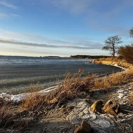 Muschelbar Apartmán Binz